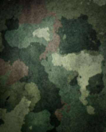012camo