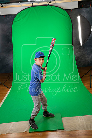 BLUE JAYS PICKET PIN CARTER-5556