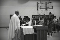 MASS-0479 copy