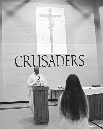 MASS-0489 copy