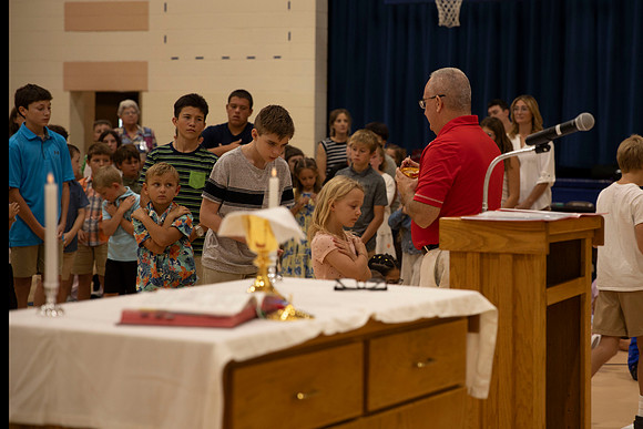 MASS-0541