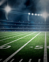 014sportsfield