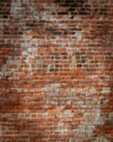 002newbrick