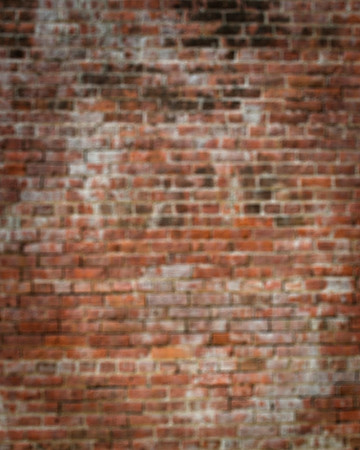 002newbrick
