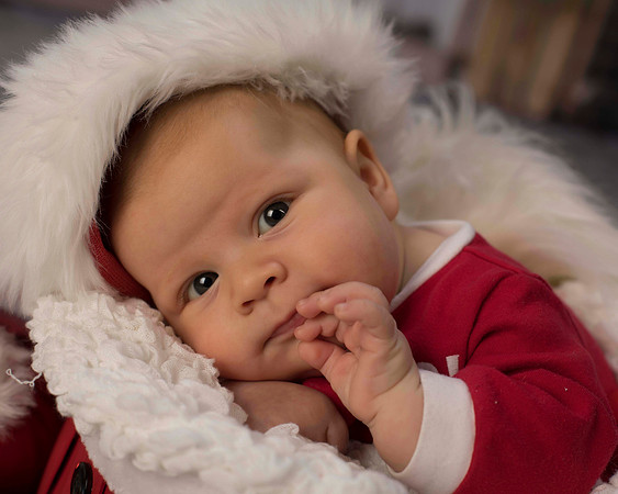 crawfxmas0061