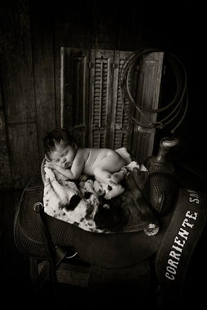 roper-00014 copy