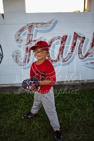 hmgfrd1219