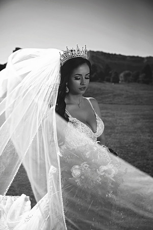 gazawed-0626 copy