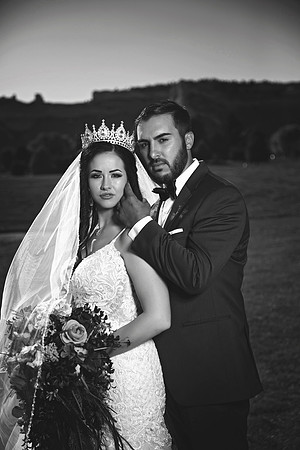 gazawed-0644 copy