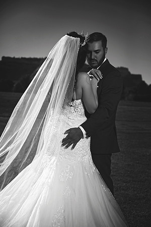 gazawed-0653 copy