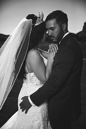 gazawed-0654 copy