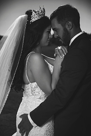 gazawed-0659 copy