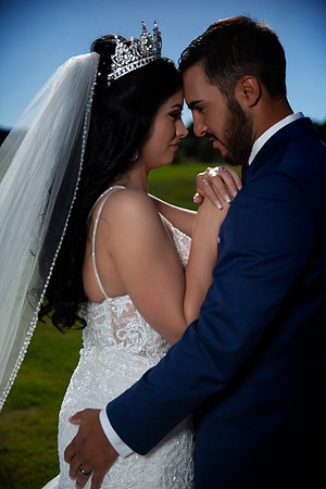 gazawed-0659
