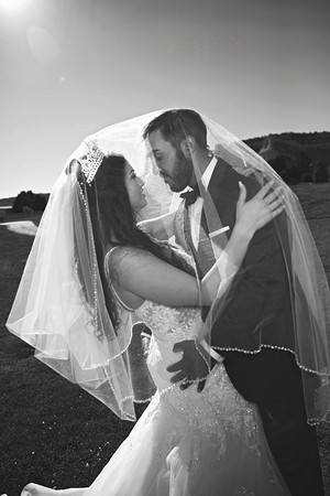 gazawed-0674 copy