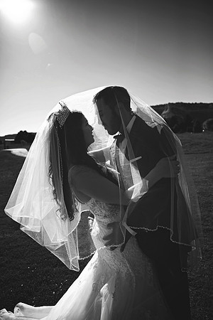 gazawed-0675 copy