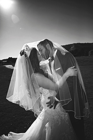 gazawed-0676 copy