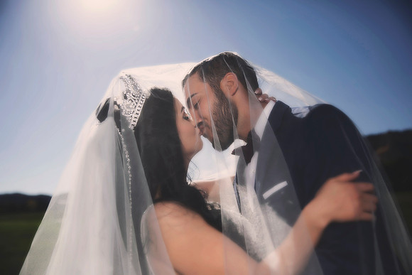gazawed-0679 copy 2