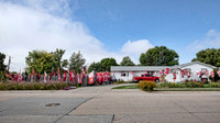 kolling-2305