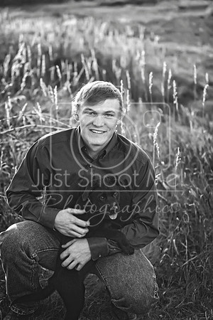 halstead0012 copy