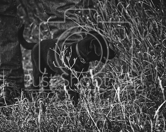 halstead0018 copy
