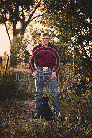 halstead0020 copy copy