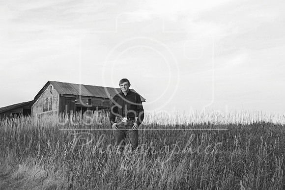 halstead0032 copy