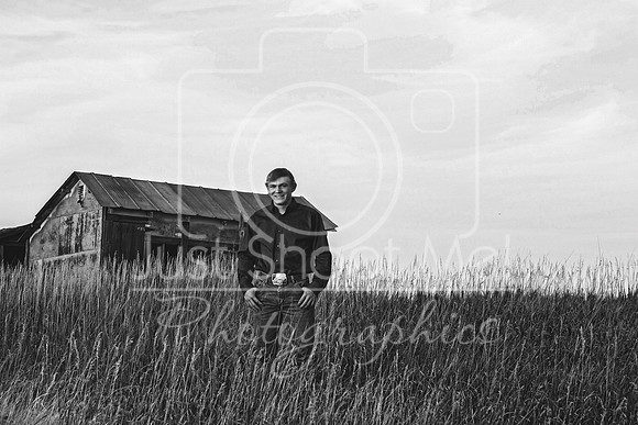 halstead0033 copy