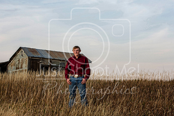 halstead0033