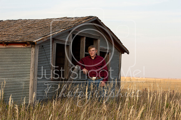 halstead0034