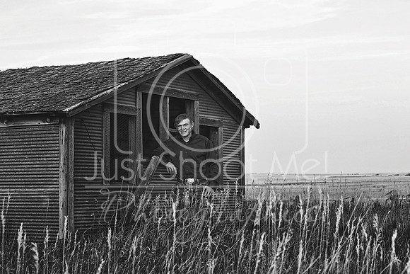 halstead0036 copy