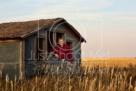 halstead0036
