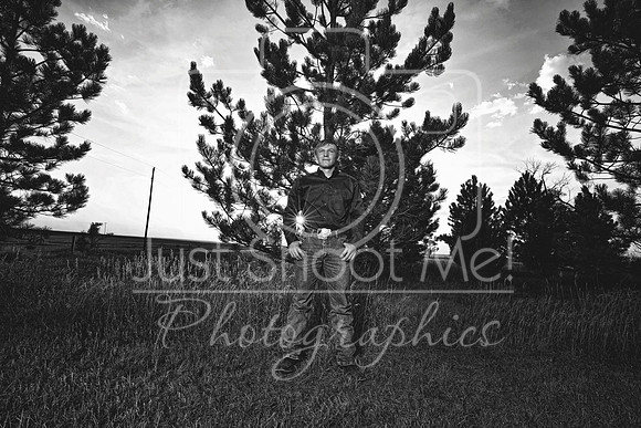 halstead0068 copy
