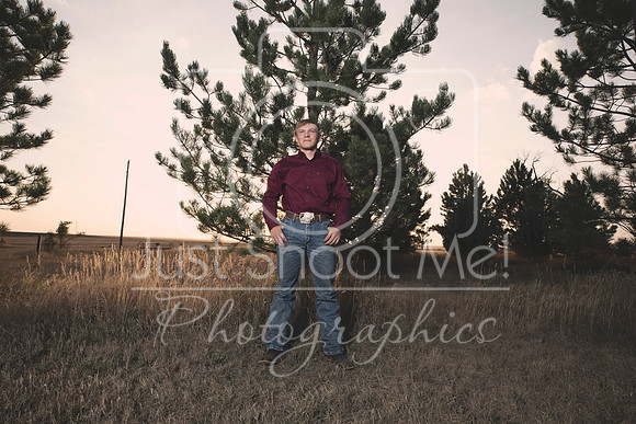 halstead0072 copy copy