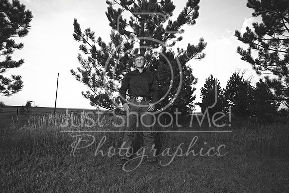 halstead0072 copy