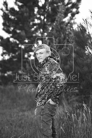 halstead0078 copy