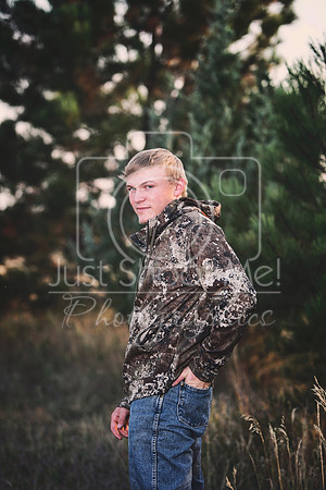 halstead0079 copy copy