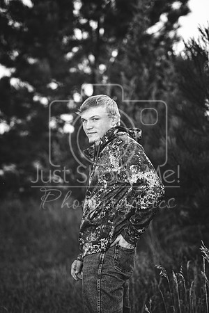 halstead0079 copy