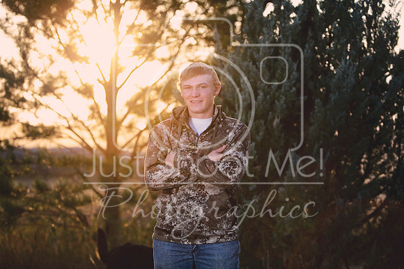 halstead0080 copy copy