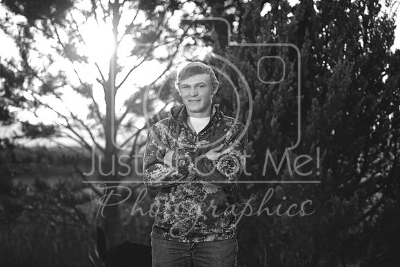 halstead0080 copy
