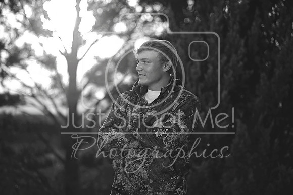 halstead0084 copy