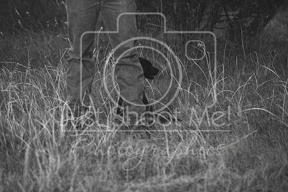 halstead0086 copy