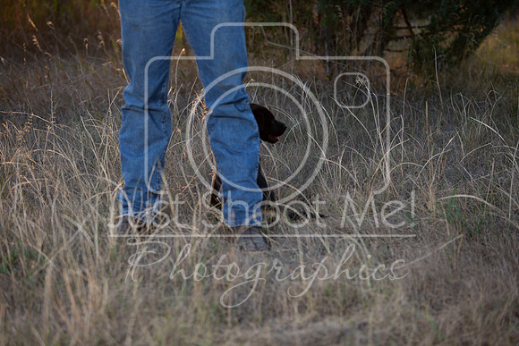 halstead0086
