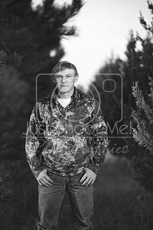 halstead0095 copy