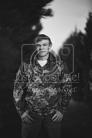 halstead0096 copy