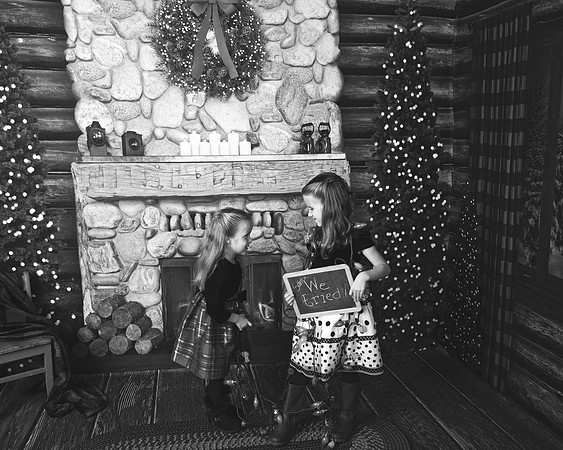bixbyxmas-0148 copy