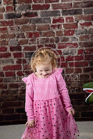honey bear am-0082