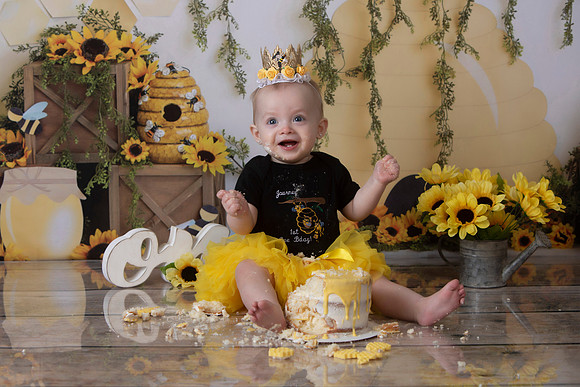 10-honey bee 2