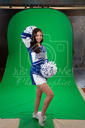 AHSCHEER-0040