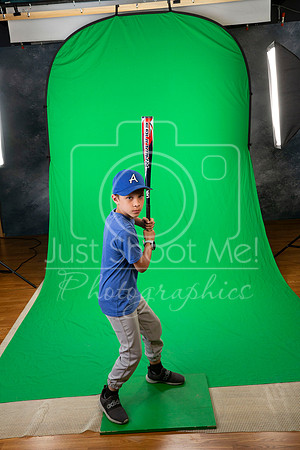 BLUE JAYS PICKET PIN CARTER-5555