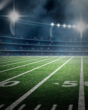 014sportsfield